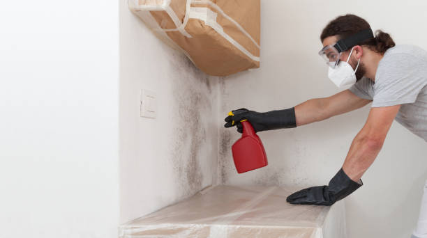 Professional Crawl Space Mold Removal technician working in Plainview, NY