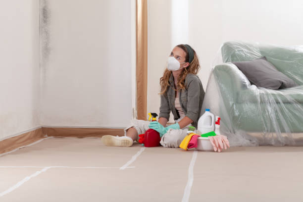 Reliable Crawl Space Mold Removal contractor in Plainview, NY by WQB Mold Removal